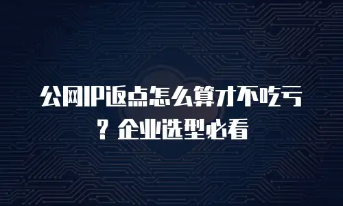 公网IP返点怎么算才不吃亏？企业选型必看