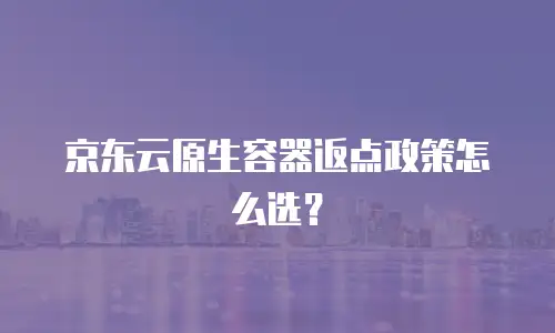 京东云原生容器返点政策怎么选？