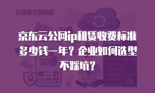 京东云公网ip租赁收费标准多少钱一年？企业如何选型不踩坑？
