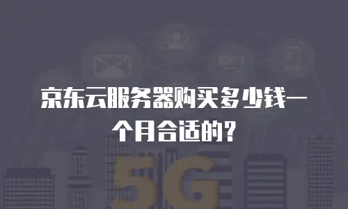 京东云服务器购买多少钱一个月合适的？