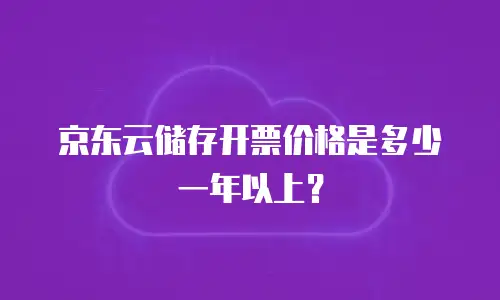 京东云储存开票价格是多少一年以上？