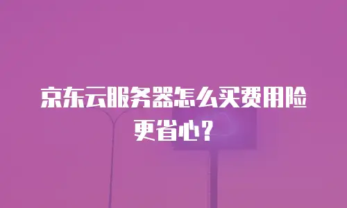 京东云服务器怎么买费用险更省心？
