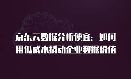 京东云储存费用是多少钱一个月的多少？深度解析与成本优化指南