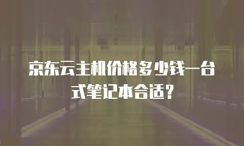 京东云主机价格多少钱一台式笔记本合适？
