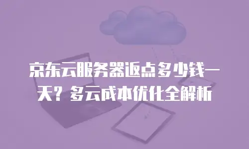 京东云服务器返点多少钱一天？多云成本优化全解析