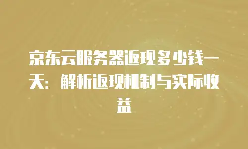 京东云服务器返现多少钱一天：解析返现机制与实际收益