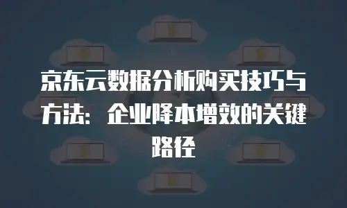 京东云数据分析购买技巧与方法：企业降本增效的关键路径