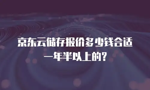 京东云储存报价多少钱合适一年半以上的？