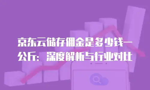 京东云服务器打折多少钱一个