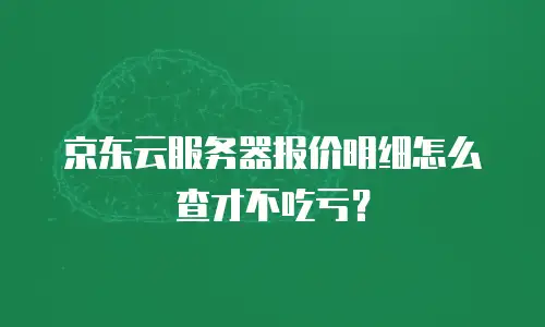 京东云服务器报价明细怎么查才不吃亏？
