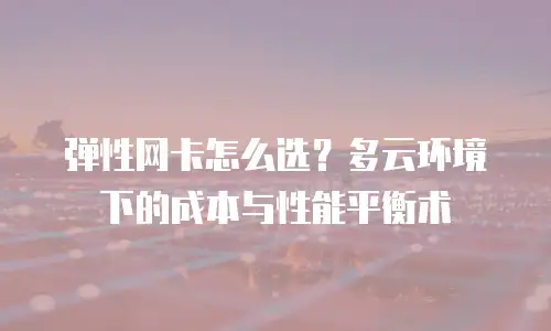 弹性网卡怎么选？多云环境下的成本与性能平衡术