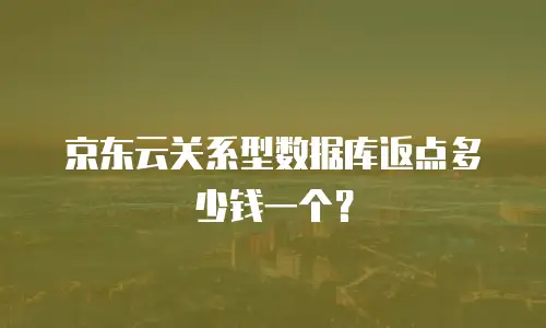 京东云关系型数据库返点多少钱一个？