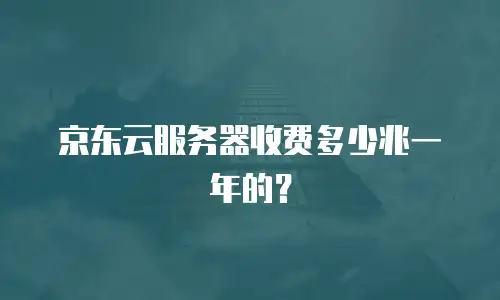 京东云服务器收费多少兆一年的？