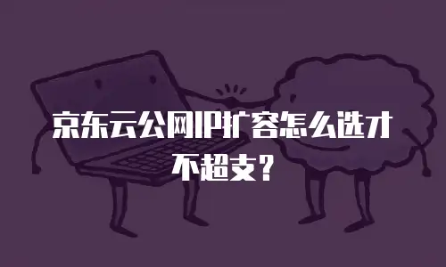 京东云公网IP扩容怎么选才不超支？