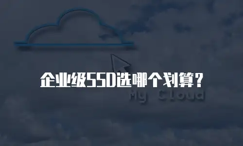 企业级SSD选哪个划算？