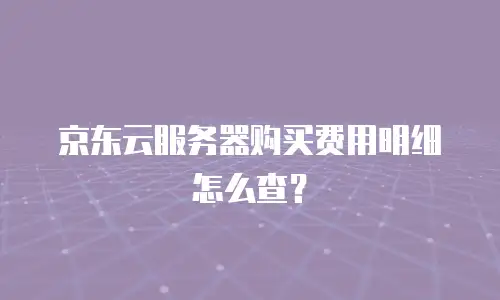 京东云服务器购买费用明细怎么查？
