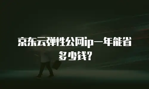 京东云弹性公网ip一年能省多少钱？
