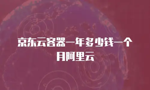 京东云容器一年多少钱一个月阿里云