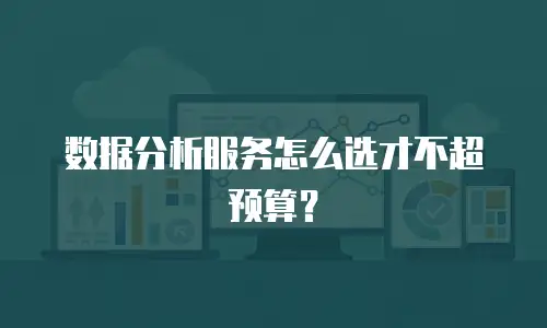 数据分析服务怎么选才不超预算？
