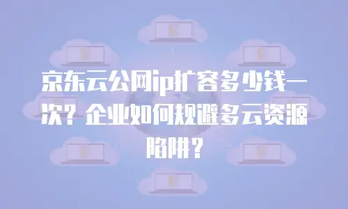 京东云公网ip扩容多少钱一次？企业如何规避多云资源陷阱？