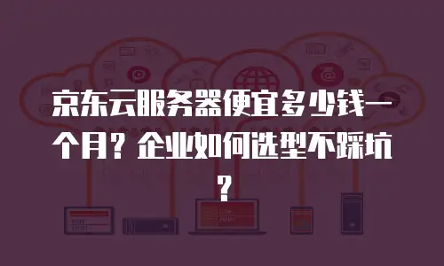 京东云服务器便宜多少钱一个月？企业如何选型不踩坑？
