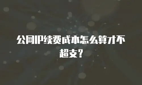 公网IP续费成本怎么算才不超支？