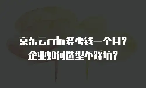 京东云cdn多少钱一个月？企业如何选型不踩坑？