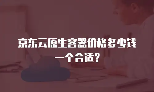 京东云原生容器价格多少钱一个合适？