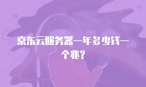 京东云服务器一年多少钱一个兆？