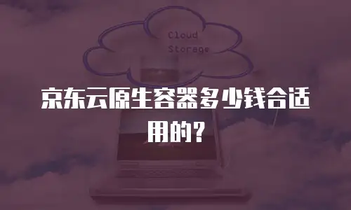 京东云原生容器多少钱合适用的？
