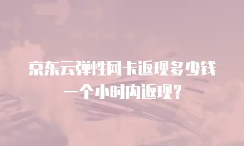 京东云弹性网卡返现多少钱一个小时内返现？