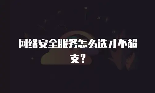 网络安全服务怎么选才不超支？