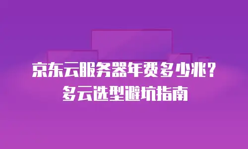 京东云服务器年费多少兆？多云选型避坑指南
