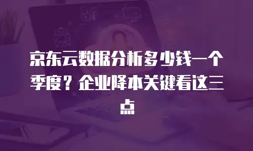 京东云数据分析多少钱一个季度？企业降本关键看这三点
