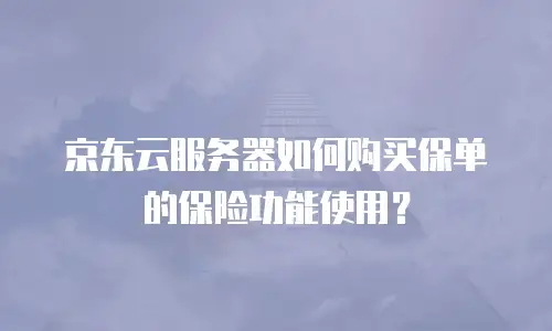 京东云服务器如何购买保单的保险功能使用？