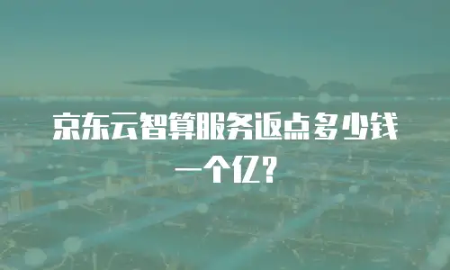 京东云智算服务返点多少钱一个亿？