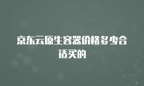 京东云原生容器价格多少合适买的