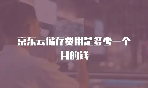 京东云储存费用是多少一个月的钱