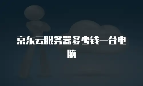 京东云服务器多少钱一台电脑