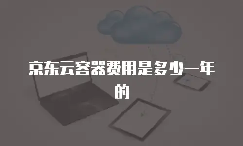 京东云容器费用是多少一年的