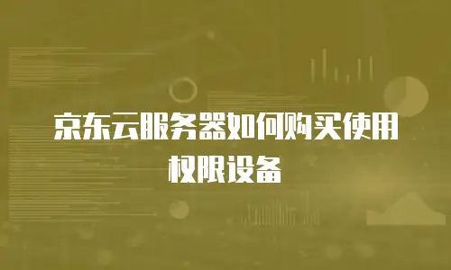 京东云服务器如何购买使用权限设备