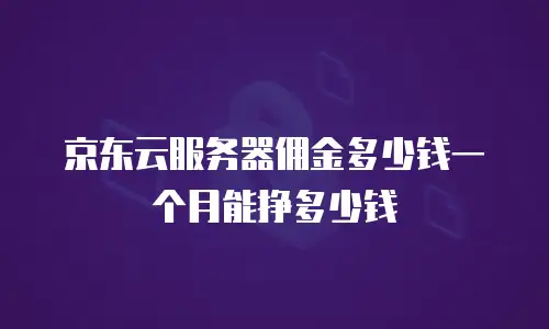 京东云服务器佣金多少钱一个月能挣多少钱