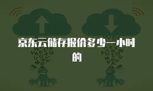 京东云储存报价多少一小时的