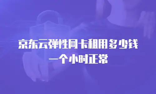 京东云弹性网卡租用多少钱一个小时正常
