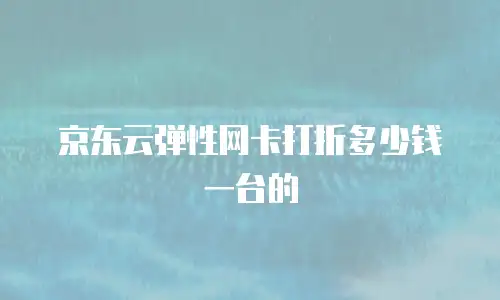 京东云弹性网卡打折多少钱一台的