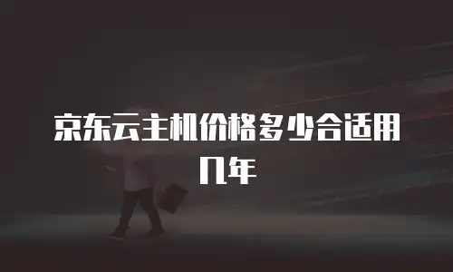 京东云主机价格多少合适用几年