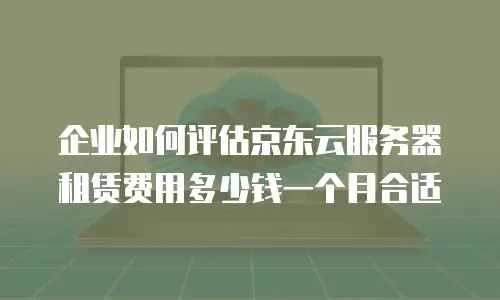 企业如何评估京东云服务器租赁费用多少钱一个月合适