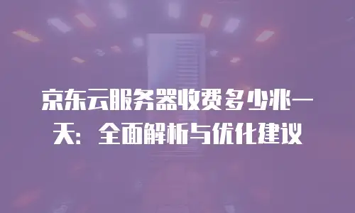 京东云服务器收费多少兆一天：全面解析与优化建议