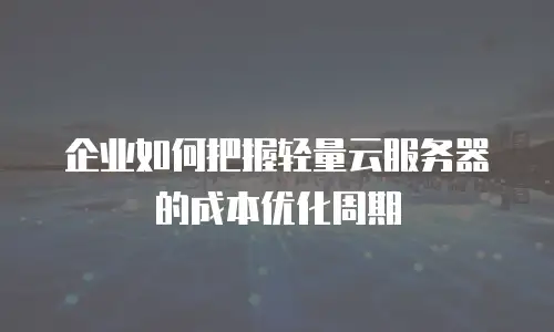 企业如何把握轻量云服务器的成本优化周期