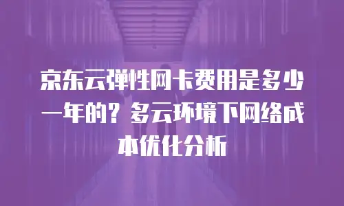 京东云弹性网卡费用是多少一年的？多云环境下网络成本优化分析